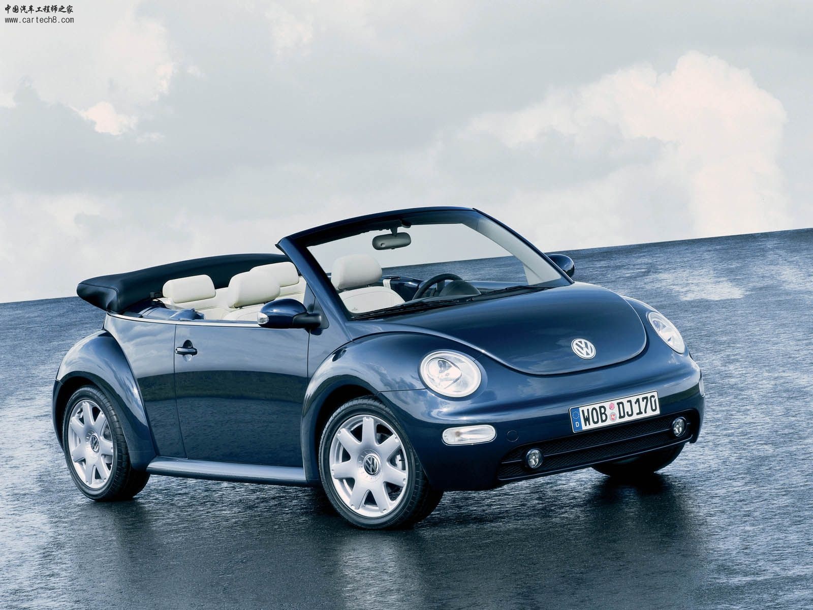 Beetle001.jpg