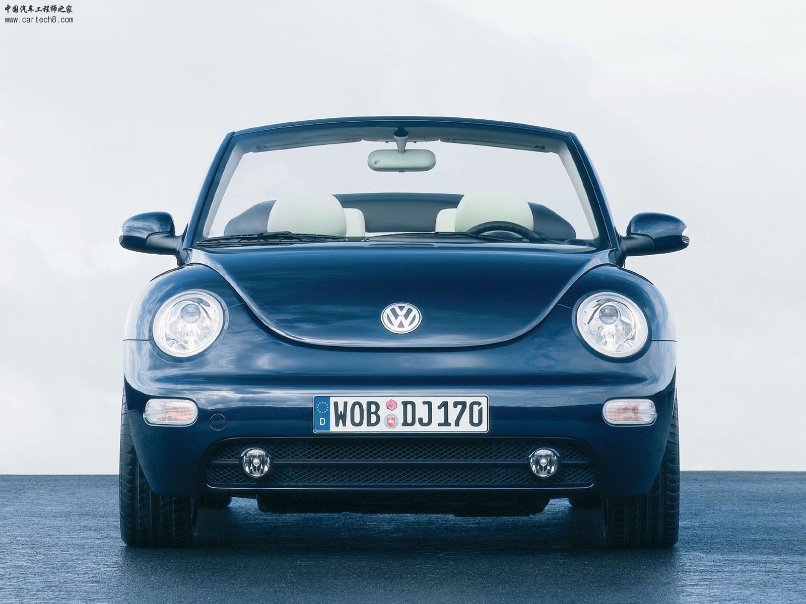 Beetle003.jpg