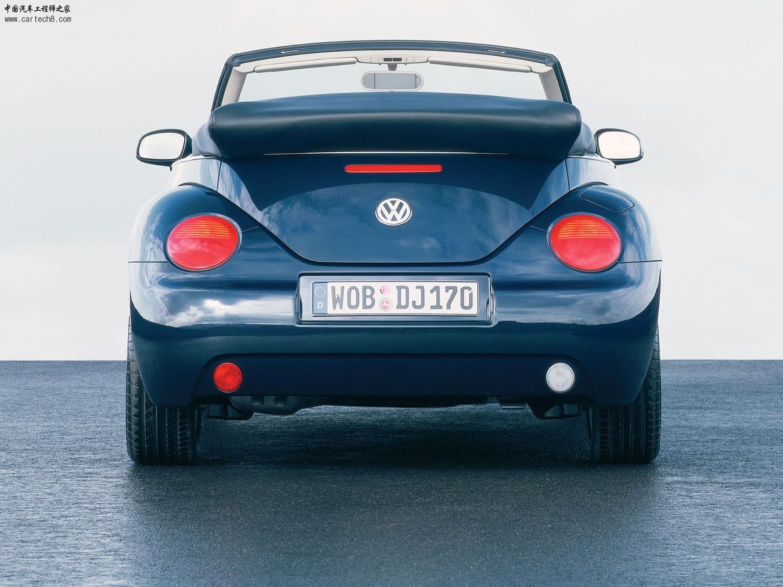 Beetle004.jpg