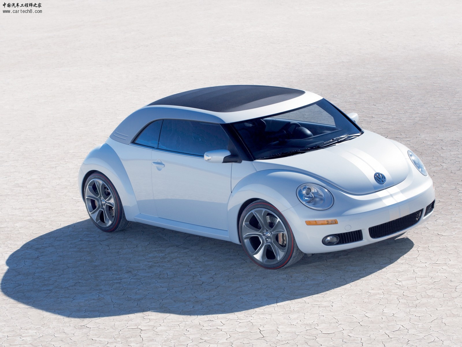 Beetle012.jpg