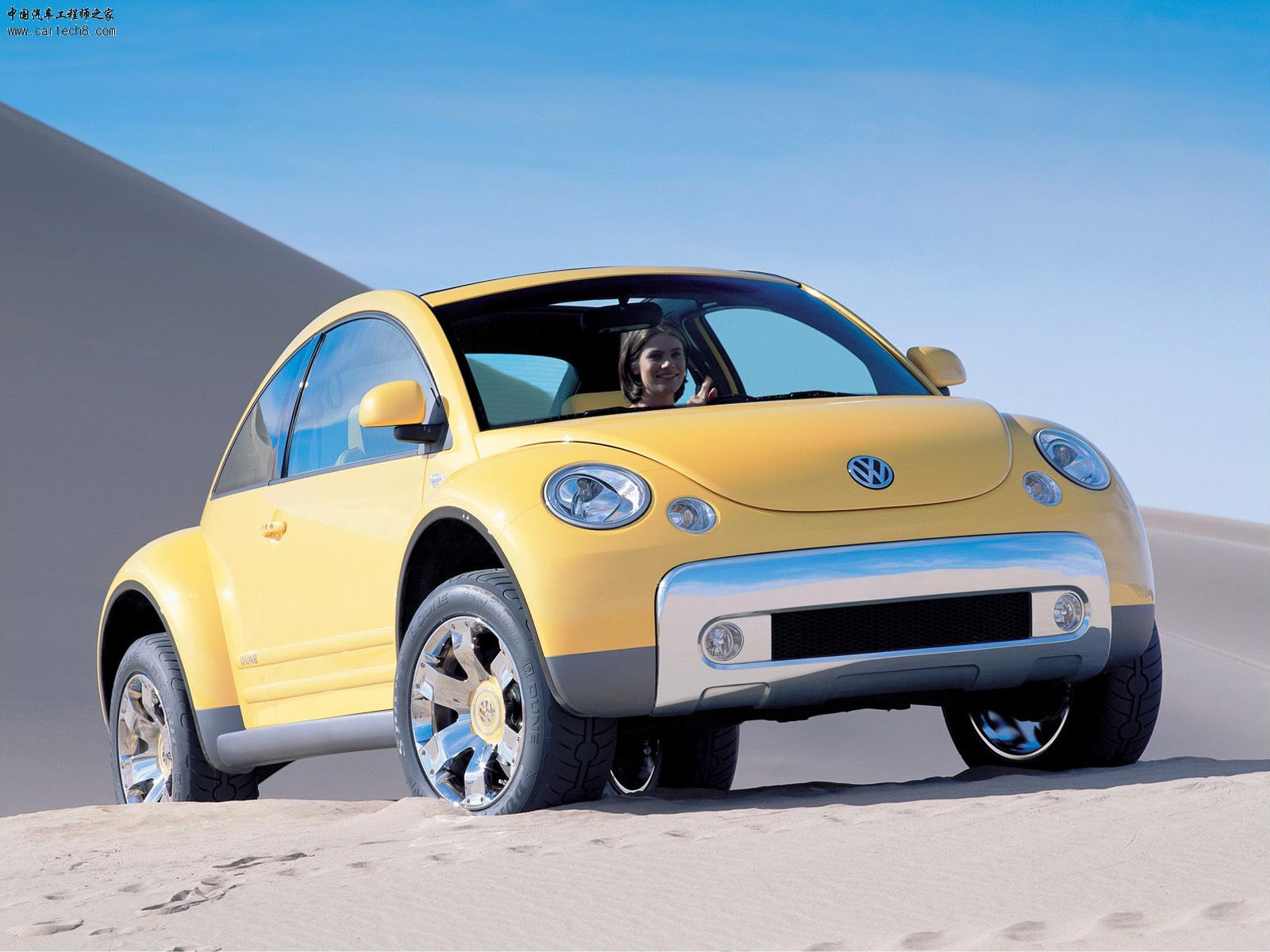 Beetle013.jpg