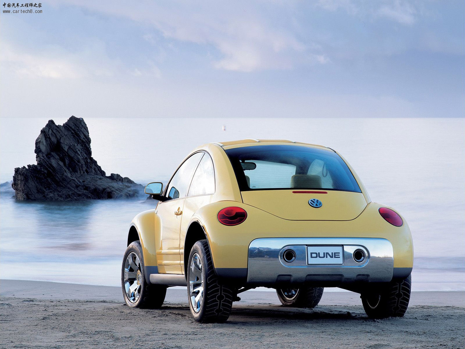 Beetle018.jpg