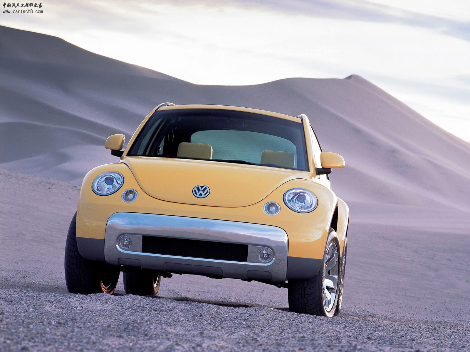 Beetle020.jpg