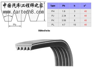 Ribbed Belt.jpg