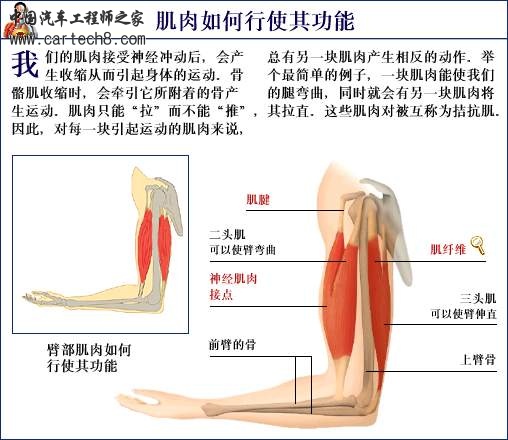 贴张图